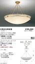 【15,000円〜送料無料※】遠藤照明 シーリング ERG5246KB (※北海道・沖縄・離島を除く)