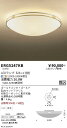 【15,000円〜送料無料※】遠藤照明 シーリング ERG5247KB (※北海道・沖縄・離島を除く)
