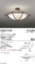 【15,000円〜送料無料※】遠藤照明 シーリング ERG5271XB (※北海道・沖縄・離島を除く)