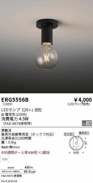 【15,000円〜送料無料※】遠藤照明 シーリング ERG5556B (※北海道・沖縄・離島を除く)