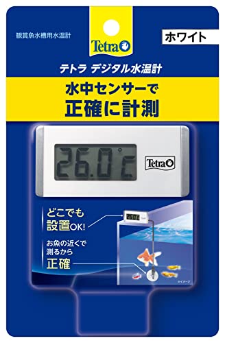 樂天商城 - テトラ (Tetra) テトラ デジタル水温計 ホワイト WD-1 水温計 アクアリウム 熱帯魚 メダカ 金魚