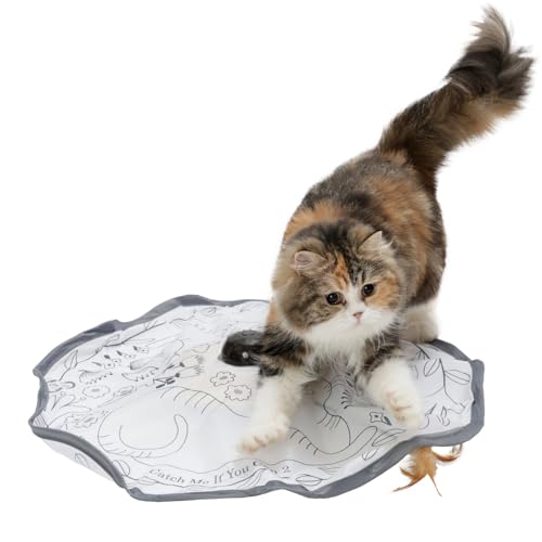 樂天商城 - 猫壱 キャッチ・ミー・イフ・ユー・キャン2 猫のお庭 猫用 電動 おもちゃ