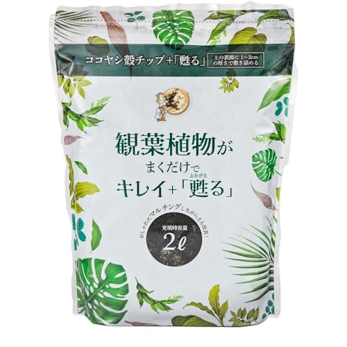 自然応用科学(Applied Natural) 観葉植物がまくだけでキレイ＋甦る 2L