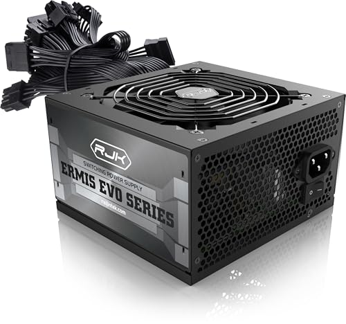 RAIJINTEK ERMIS EVO 750B 電源ユニット 750W ATX3.1 80+ Bronze 認証 非モジュラー 静音ファン P