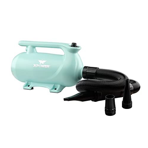 XPower B-163ペットドライヤー 低騒音 二段階調節可能な熱設定 三つのノズル付き 携帯用ペット用ドライヤー 3色オプション (グリーン