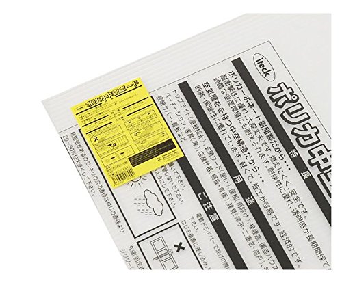 樂天商城 - 光(Hikari) 光 ポリカ中空ボード 透明 2枚入 4×450×900mm KTP940W-1-2