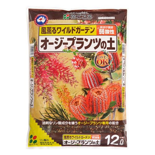 オージープランツの土オレンジ/12L/20770・Size:12L・容量：12L・製造：日本・適用：グレビレア、バンクシア、カリステモン、アカシア、フランネルフラワー、カンガルーポー、ユーカリ、ニューサイラン、コルジリネ、プロテアなど・主原料：軽石、赤玉土、ココナッツファイバー、ピートモス・特長：水はけを良くして、幹をしっかり支える鉱物素材を多く配合した、オージープランツ専用の土。オージープランツに適した弱酸性、リン酸成分の影響を抑える赤玉土入り。商品紹介 水はけを良くして、幹をしっかり支える重めの配合のオージープランツ専用土。 ●水はけを良くして、幹をしっかり支える鉱物素材を多く配合 ●用土をオージープランツに適した弱酸性に調整 ●過剰なリン酸成分の影響を抑える赤玉土を配合 安全警告 吸入を避け、子供やペットの手の届かない場所に保管してください。