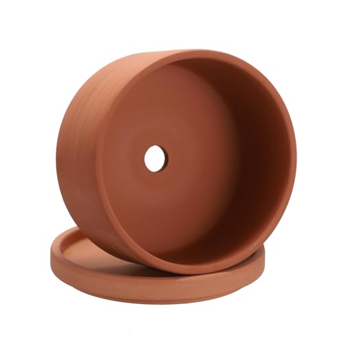 fashionレッド/15.2cm x 9.5cm/TCQ-35830-JP・パッケージ個数:1・レッドクレイ製：植木鉢は高品質の粘土で作られており、高温で焼成されており、耐久性と耐ひび割れ性に優れ、軽量で美しいです。底部には排水穴が設けられ、排水と通気性を促進し、土壌に水が溜まるのを防ぎ、根腐れを防ぎます。・浅い植木鉢:素焼きの鉢は、サボテンや多肉植物、その他乾燥した土壌を好む植物に最適です。室内でも庭でも使えます。シンプルな赤いプランターはどんな環境にも溶け込みます。・丁寧な梱包：輸送中の損傷を防ぐために、鉢はカスタムの耐衝撃性フォームで梱包されています。商品到着後、ご不明な点がございましたら、ご連絡ください。・排水性と通気性が良い：植木鉢は排水性が高く通気性の良い赤土で作られており、水が素早く蒸発するだけでなく、四方から水が行き渡って根が均一に水を吸収するため、根の生育が良くなります。屋外での使用はもちろんですが、風通しが悪く採光の悪い屋内での使用にも適しています。・仕様：セット内容：6インチ植木鉢*1；カラー：赤い；素材：粘土。：パッケージには植物商品説明 植木鉢は高品質の粘土で作られており、高温で焼成されており、耐久性と耐ひび割れ性に優れ、軽量で美しいです。底部には排水穴が設けられ、排水と通気性を促進し、土壌に水が溜まるのを防ぎ、根腐れを防ぎます。 素焼きの鉢は、サボテンや多肉植物、その他乾燥した土壌を好む植物に最適です。室内でも庭でも使えます。シンプルな赤いプランターはどんな環境にも溶け込みます。 輸送中の損傷を防ぐために、鉢はカスタムの耐衝撃性フォームで梱包されています。商品到着後、ご不明な点がございましたら、ご連絡ください。 植木鉢は排水性が高く通気性の良い赤土で作られており、水が素早く蒸発するだけでなく、四方から水が行き渡って根が均一に水を吸収するため、根の生育が良くなります。屋外での使用はもちろんですが、風通しが悪く採光の悪い屋内での使用にも適しています。 セット内容：6インチ植木鉢*1；カラー：赤い；素材：粘土。：パッケージには植物や土壌は含まれていません