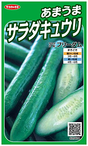 フリーダムグリーン/18粒/00920404・Size:18粒Style:フリーダム・パッケージ個数:1・切替月:6月・詰量:18粒・発芽率:90・採苗本数:-・春秋扱い:春のみ品種商品紹介 「サカタのタネ」の野菜種です♪ （免責）＞必ずお読みください ・この種子を直接、食用・飼料用に使用しないで下さい。 ・お子様の手の届かない所に保管下さい。 ・直射日光・湿気を避け、涼しい所で保管下さい。 ・種子は本質上100%の純度は望めません。 ・播種後の栽培条件・天候等で結果が異なります。 ・商品の成長後や収穫物に対する補償はいたしかねます。 ・独自に加工された場合は責任を負いかねますので予めご了承下さい。 ・モニターの設定等により実物と色が違って見えることがあります。