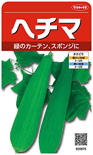 green/-/00920975・パッケージ個数:1・切替月:11月・詰量:8・発芽率:50%・採苗本数:16・春秋扱い:春のみ品種サカタのタネ 実咲野菜0975 ヘチマ 【】詰量、発芽率等は採取年により変動する場合があります