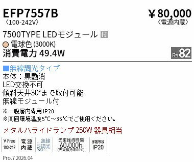 乐天商城 - EFP7557B　単色調光_テクニカルペンダント_7500TYPE_3000K　ENDO 遠藤照明 エンドウ 【3980円以上(税込)で送料無料】