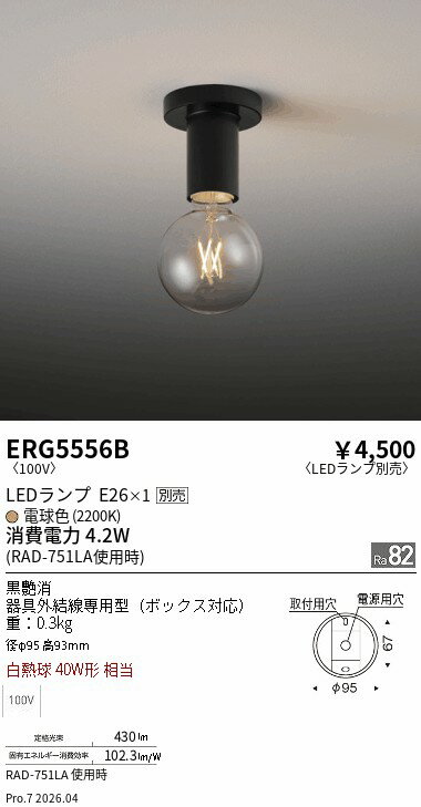 乐天商城 - ERG5556B　シーリング　ENDO 遠藤照明 エンドウ 【3980円以上(税込)で送料無料】