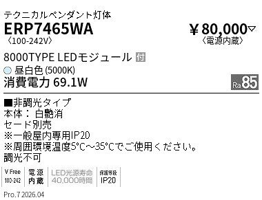 ERP7465WA　Rs　ペンダント R8000タイプ 