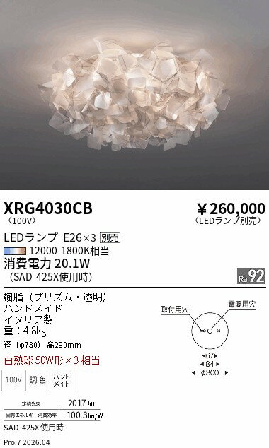 Rakuten - XRG4030CB　ABITAGE　シーリング　ENDO 遠藤照明 エンドウ 【3980円以上(税込)で送料無料】