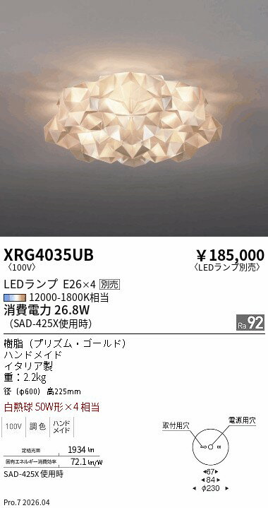 乐天商城 - XRG4035UB　ABITAGE　シーリング　ENDO 遠藤照明 エンドウ 【3980円以上(税込)で送料無料】