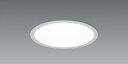 EFK9966WA LEDベースライト ENDO 遠藤照明 エンドウ 【3980円以上(税込)で送料無料】