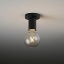 ERG5556B LED シーリングライト ENDO 遠藤照明 エンドウ 【3980円以上(税込)で送料無料】