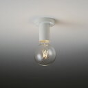 ERG5556W LED シーリングライト ENDO 遠藤照明 エンドウ 【3980円以上(税込)で送料無料】