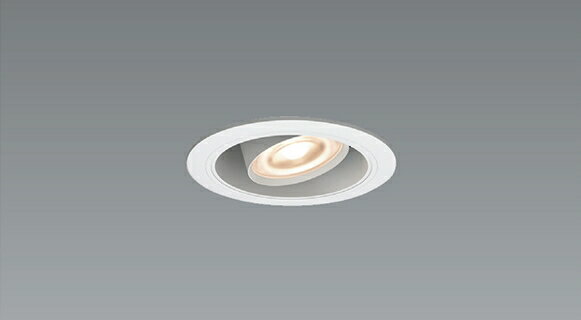 ERD5009WA LED 饤 ENDO ƣɥ3980߰ʾ(ǹ)̵