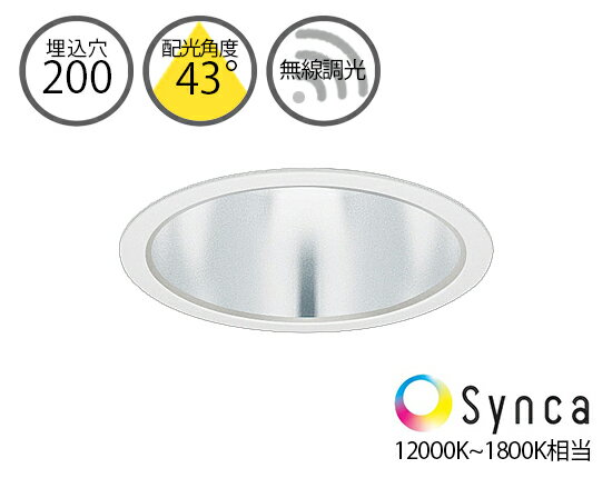 SXD1043W_SX104N Synca 43��Ķ���� LED ������饤�� Ĵ��Ĵ�� 12000K-1800K���� ̵��Ĵ���������Ÿ����å� ENDO ��ƣ...