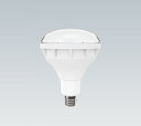 RAD588N 昼白色(5000K) LEDランプ・ユニット ENDO 遠藤照明 エンドウ 【3980円以上(税込)で送料無料】