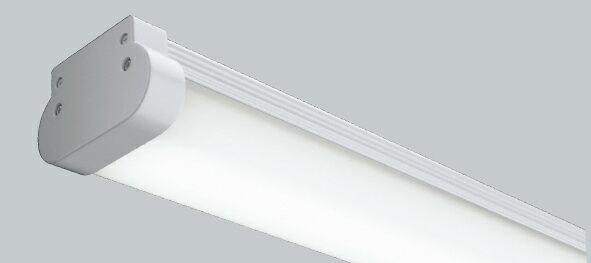 RAD662N (5000K) LEDס˥å ENDO ƣɥ3980߰ʾ(ǹ)̵