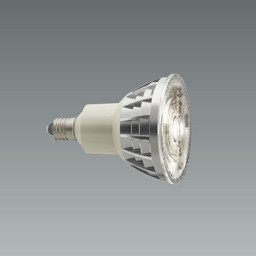 RAD731F 電球色(3000K) LEDランプ・ユニ�