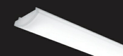 RAD802N 昼白色(5000K) LEDランプ・ユニット ENDO 遠藤照明 エンドウ 【3980円以上(税込)で送料無料】