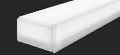 RAD809WB 昼白色(4000K) LEDランプ・ユニット ENDO 遠藤照明 エンドウ 【3980円以上(税込)で送料無料】