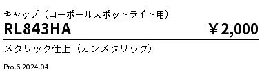 RL843HA オプション ENDO 遠藤照明　エンドウ　【3980円以上(税込)で送料無料】