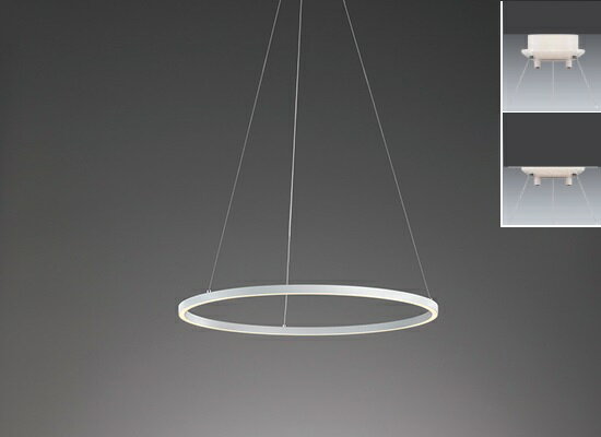 ERP7537W_RX357N LEDペンダントライト ENDO 遠藤照明　エンドウ　【3980円以上(税込)で送料無料】