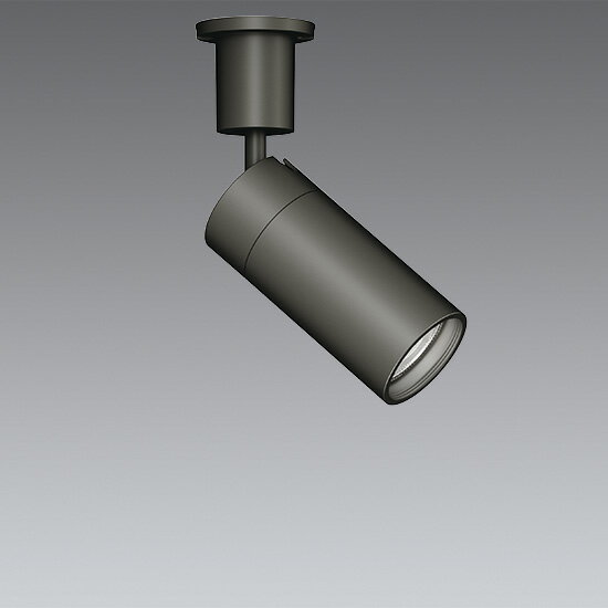 ERS6909B_RAD950M LEDスポットライト ENDO 遠藤照明　エンドウ　【3980円以上(税込)で送料無料】