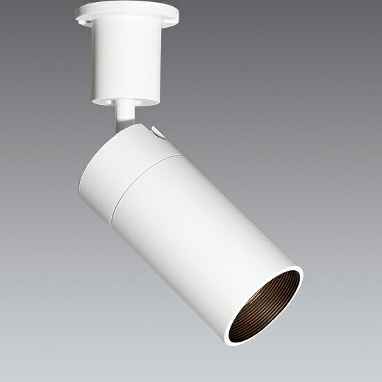 ERS7219W_RAD731N LEDスポットライト ENDO 遠藤照明　エンドウ　【3980円以上(税込)で送料無料】