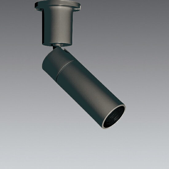 ERS7221B_RAD842F LEDスポットライト ENDO 遠藤照明　エンドウ　【3980円以上(税込)で送料無料】