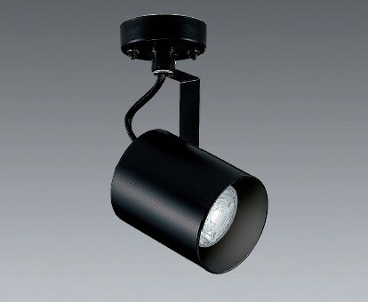 ERS4011B_RAD952N LEDスポットライト ENDO 遠藤照明　エンドウ　【3980円以上(税込)で送料無料】