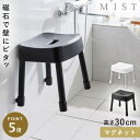 風呂イス 30cm お風呂 椅子 カビ ない イス マグネット バスルーム 風呂 山崎実業 ミスト マグネット風呂イス ミスト SH30