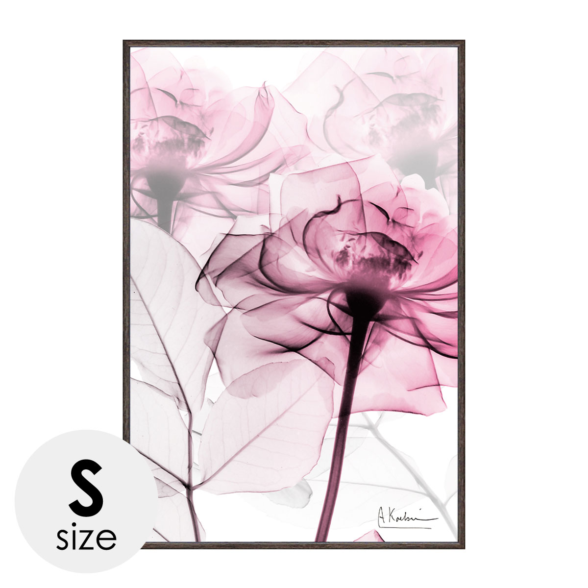 x-ray アートフレーム キャンバスアート 花 アートパネル モダン 玄関 壁掛け かっこいい インテリア ..