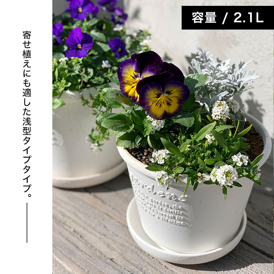 プランター 浅型 丸型 6号 アンティーク おしゃれ 屋外 プラスチック 植木鉢 garde...
