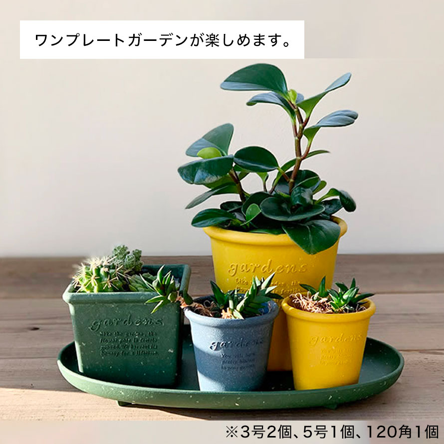 プランター 受け皿 受皿 横長 40cm オーバル 楕円 アンティーク おしゃれ 屋外 プ...