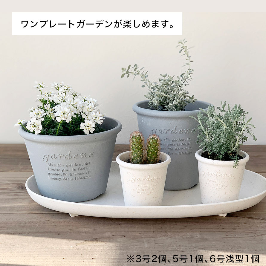 �ץ�󥿡� ������ ���� ��Ĺ 49cm �����Х� �ʱ� ����ƥ����� ������� ���� �ץ饹���å� ����ȭ ������� ����� ȭ�� gardens �����ץ졼�ȥ����Х� �ѥԥ� 490 �����ǥ˥� �����ǥ� ����