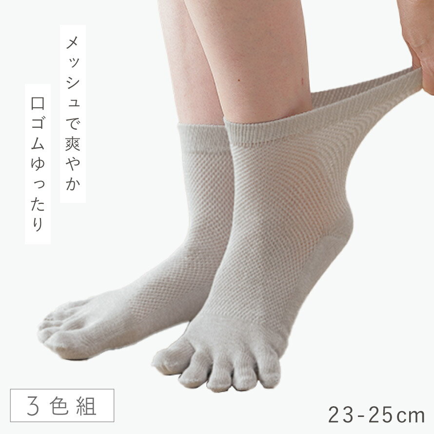 五本指ソックス レディース 夏用 3色組 23-25cm 履き口 ゆったり メッシュ 靴下 夏...