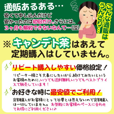 【キャンデト茶30包】衝撃の体感系ハーブティー/8種類の味から選べる/ダイエットティー/紅茶,烏龍茶,玄米茶,ジャスミン茶,ハニーブッシュ,緑茶,とうきび茶,黒豆茶