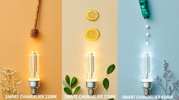 【SMART CHANDELIER】【ソケットランプ】帽子形シェード、ランプ3色自由選択　【送料無料】
