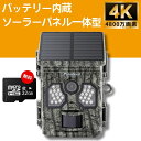 【送料無料】リーベックス REVEX 防犯カメラ SDカード録画式 センサーライトカメラ SD500【楽ギフ_包装】