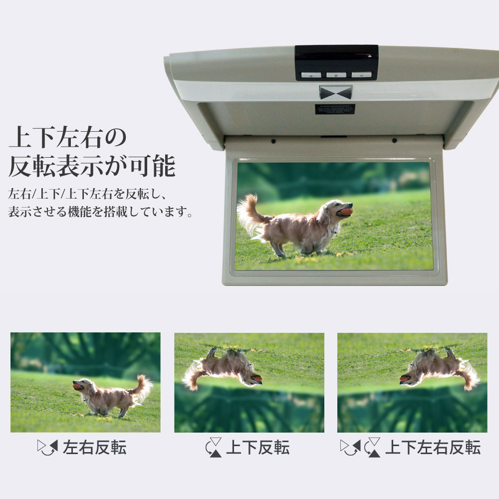 10.1������ե�åץ������˥��� ���� 12V 1ǯ�ݾ� ������̵���� [F1012]