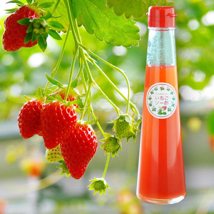 極上バタートースト(教えてもらう前と後で紹介)のレシピ