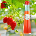 【いちごソー酢】 新潟県 津南町のイチゴ農家のママが作るお菓子のお店 [ママのおやつ]謹製！ 自家製いちご酢|ストロベリービネガー Strawberry Vinegar|果物 酢|