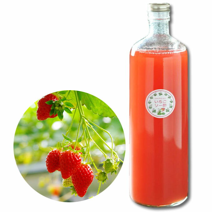 ե롼ĥӥͥ  ڤ  㸩 ĮΥȤΥޥޤ뤪ۻҤΤŹ [ޥޤΤ] |ȥ٥꡼ӥͥ Strawberry Vinegar|ʪ |850g