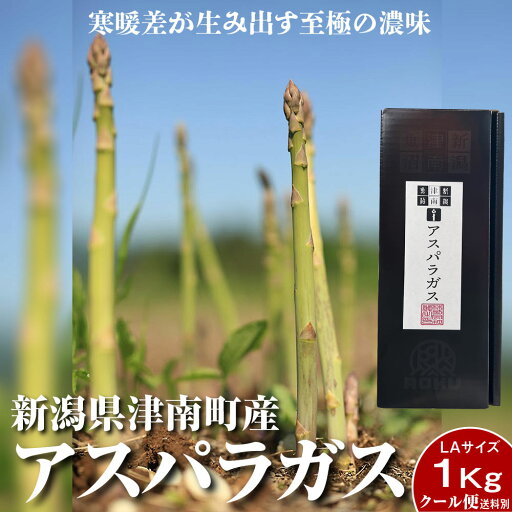 【朝取れ直送 送料無料】6月から順次発送! 生産数わずかで市場に出回らない貴重なアスパラを産直でお届け グリーン アスパラガス LA 1kg 産地直送 新潟県 津南産 アスパラ(日にち指定不可)【産地直送のため同梱不可】サイズ規格:LA クール便 【朝取れ直送 送料無料】6月から順次発送! 生産数わずかで市場に出回らない貴重なアスパラを産直でお届け グリーン アスパラガス LA 1kg 産地直送 新潟県 津南産 アスパラ(日にち指定不可)【産地直送のため同梱不可】サイズ規格:LA クール便