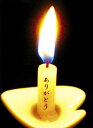 リラックス・感謝|8分間の灯火-ともしび-|ありがとうろうそく|詰め替え用 10本入り